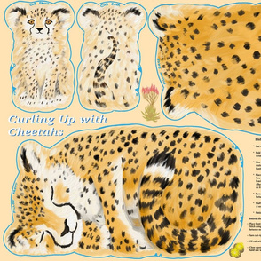 Curling Up with Cheetahs