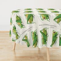 Groovy Grasshopper Pillow