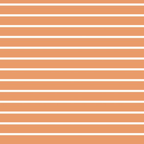 apricot pin stripe