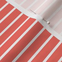 coral pin stripe