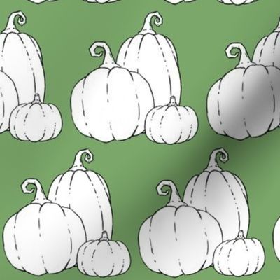 color me pumpkins