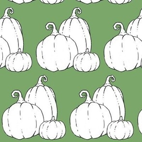 color me pumpkins