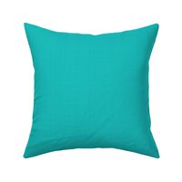 Solid Textured Turquoise // Coordinates with Mid Century Modern (MCM) Rounded Rectangles // 685 DPI