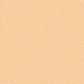 Abstract Sunset - Orange Dotted Coordinate