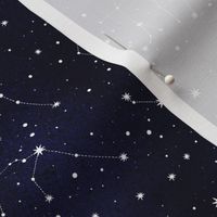 Small scale / Zodiacal constellation