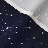 Medium scale / Zodiacal constellation