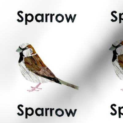 Sparrow - 6" Panel