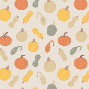 pumpkin patch, fall, thanksgiving, harvest, butternut squash