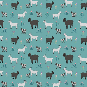 Goats in teal