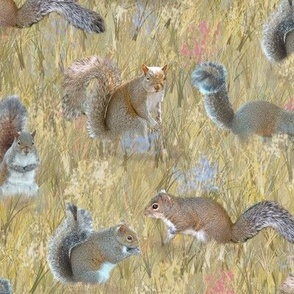 Squirrels in Wildflower Field