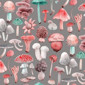 mushroom aquarela- gray