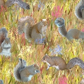 Squirrels in Golden Wildflower Field