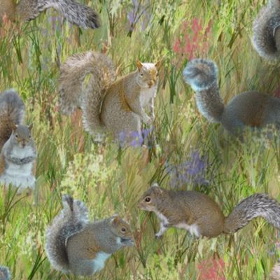 Squirrels in Green Wildflower Field