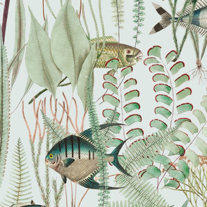 Fish in Seaweed