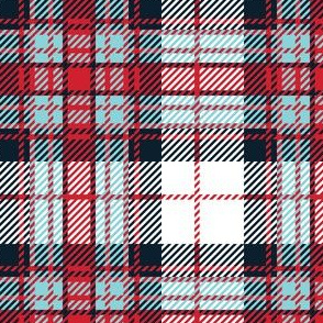 Navy Blue Red Plaid