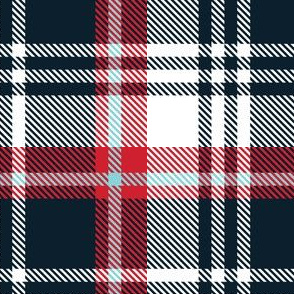 White Navy Blue Plaid