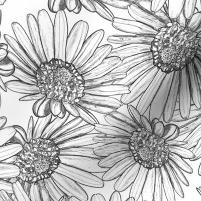 Daisy Bed Black and White