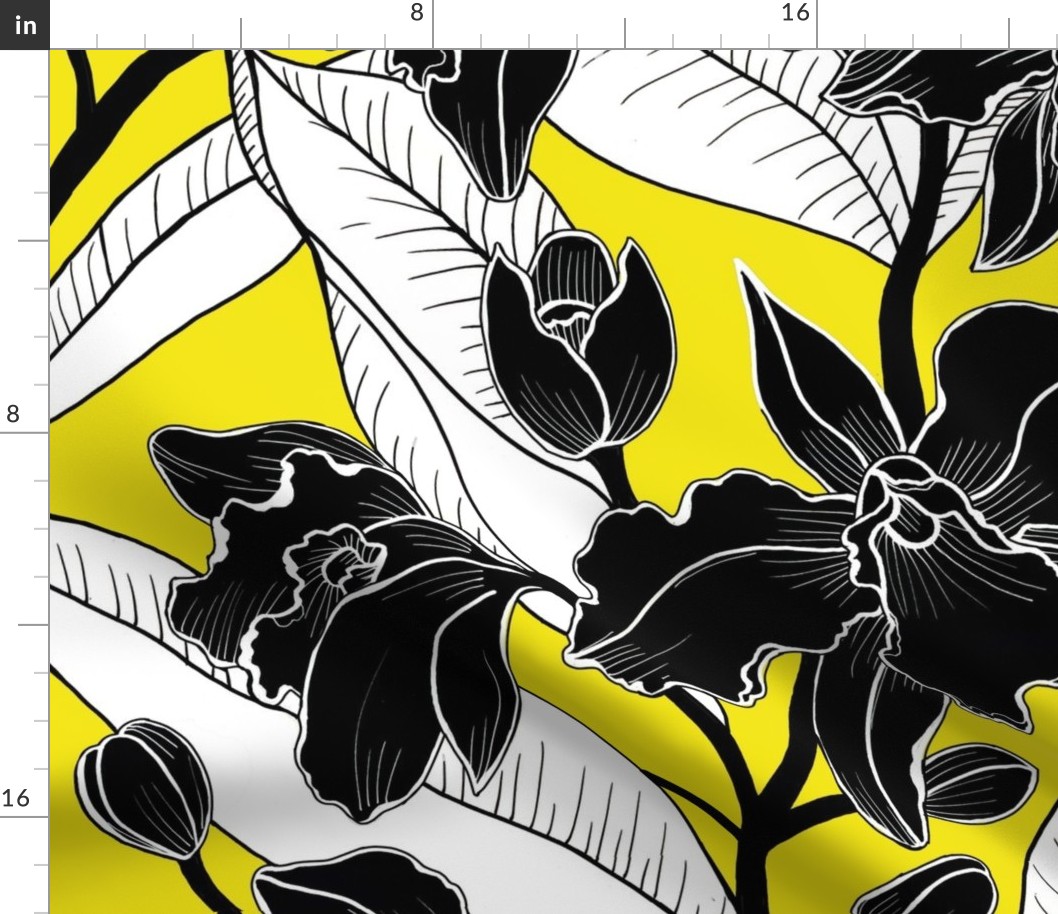 Black and white yellow-2 orchid 2020