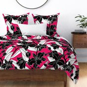 black and white fuscia orchid 2020