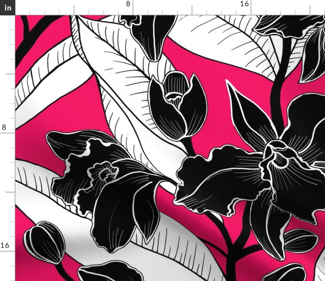 black and white fuscia orchid 2020