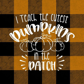 I Teach the Cutest pumpkins in the patch 18 inch square