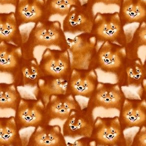 A Bunch of Pomeranians – Small Scale