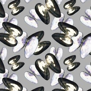 Thick Shelled River Mussels (Unio Crassus) on Gray Background – Small Scale