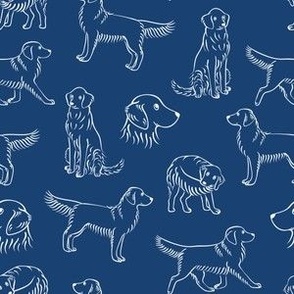 Golden Retrievers (Navy and White) 