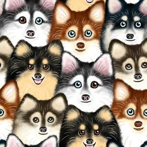 Pomsky Pattern – Medium Scale