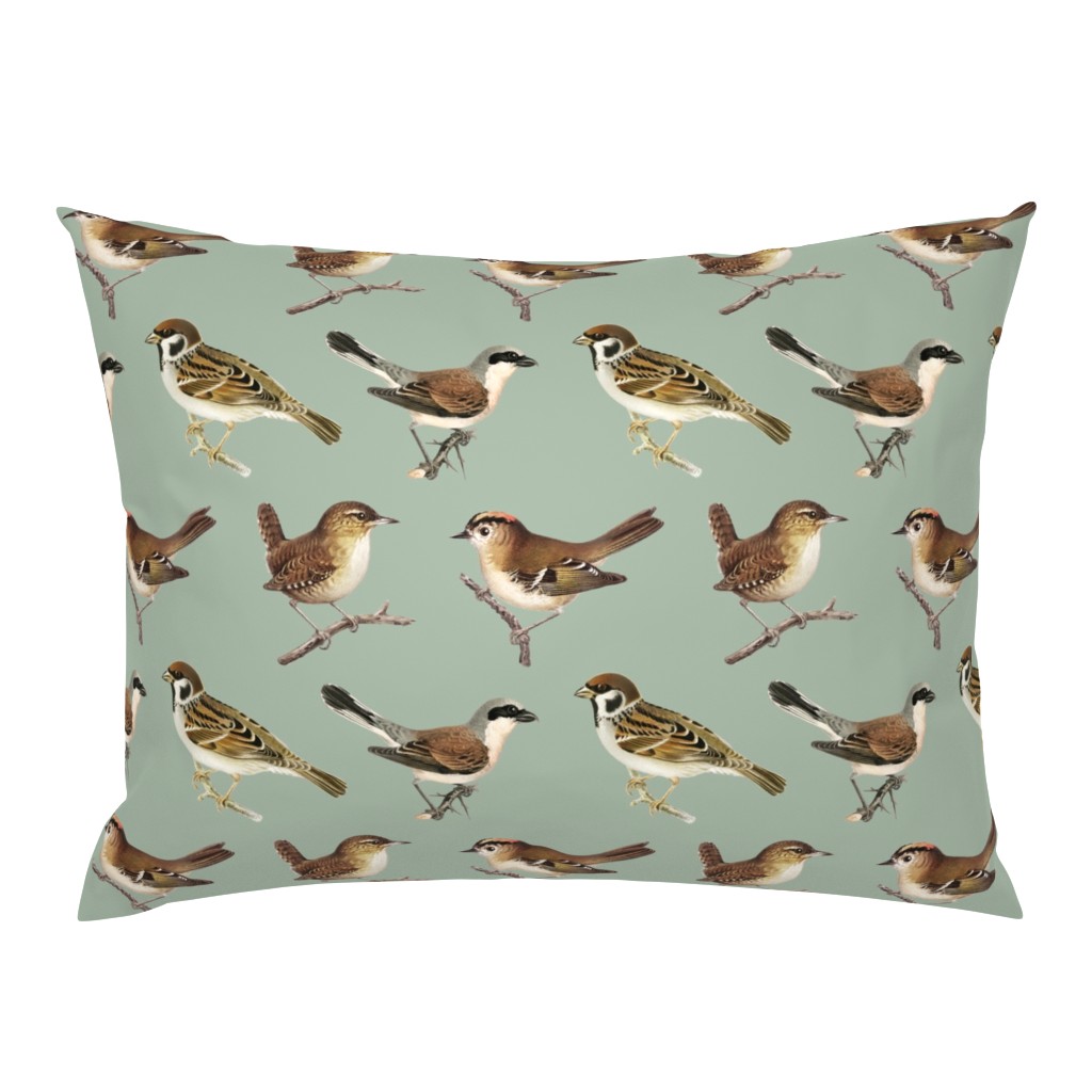 Brown Birds - Medium - Light Green