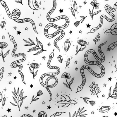 mystic snakes on a white background