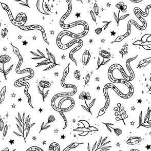 mystic snakes on a white background