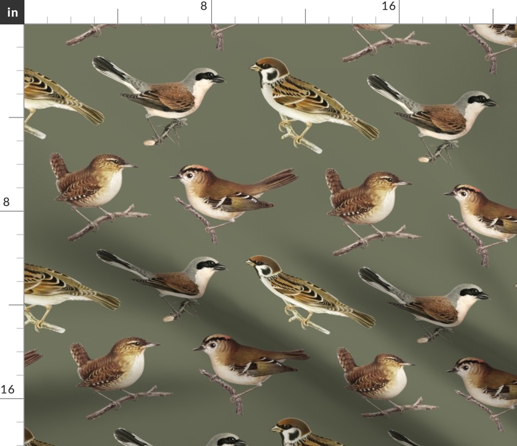 Brown Birds - Medium - Dark Green