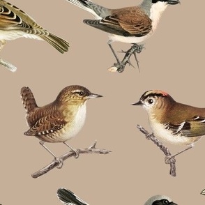 Brown Birds - Medium - Brown