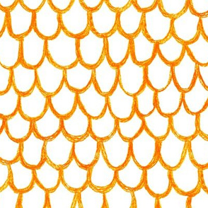 crayon scallops - solar orange on white