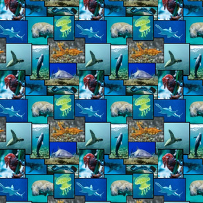 Sealife Photo Collage