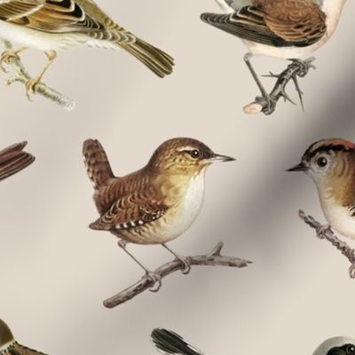 Brown Birds - Medium - Light Brown