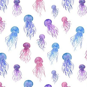 ocean's medusas