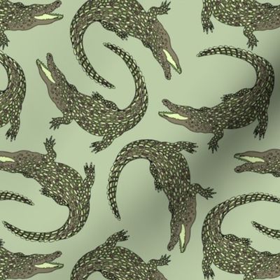 Crocodiles (Camo Palette) – Medium Scale