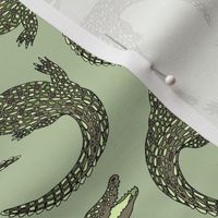 Crocodiles (Camo Palette) – Medium Scale
