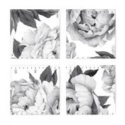 Peony-Height-Chart-Growth-chart-Black-and-White