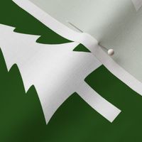 white on dark green tree  - medium