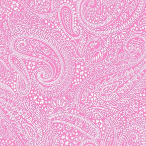 small Paisley Positivity pink white