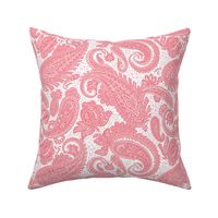 small Paisley Positivity red pink white
