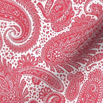 small Paisley Positivity red