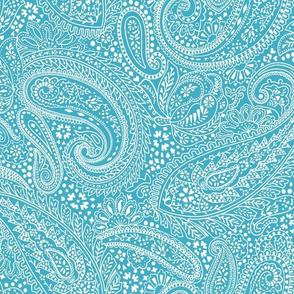 small Paisley Positivity turquoise white