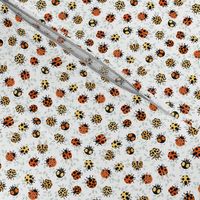 Ladybug party on white