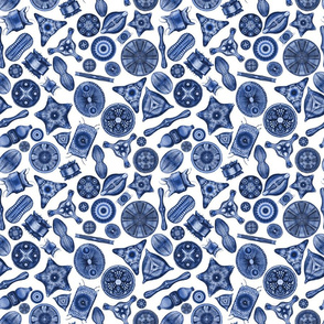 Ernst Haeckel Diatom Toss Bright Blue