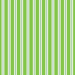 Croquet Stripe - Green