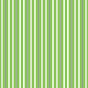 Croquet Stripe -Green  Small